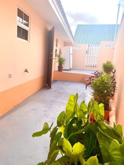 Centrally Located, Private, 1 Bedroom Apartment. Willemstad Eksteriør bilde